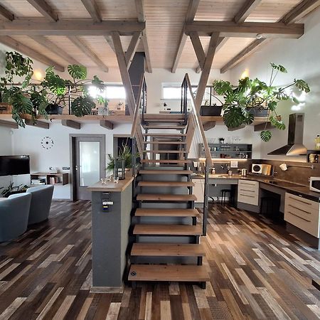 Apartmány Pod Lesem II Rodvínov Esterno foto